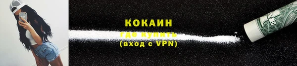 бошки Горняк