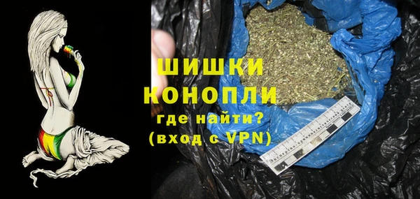 сатива Тихвин