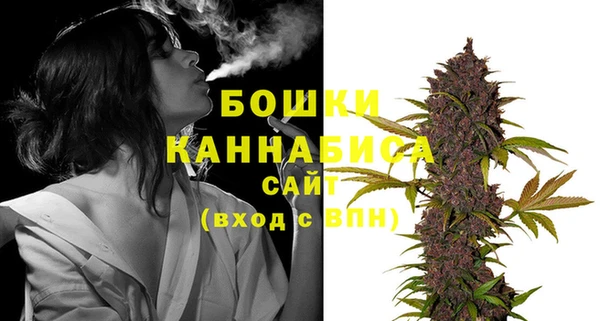 сатива Тихвин
