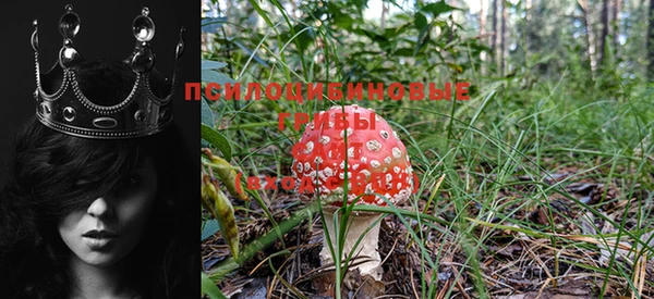 марки nbome Горнозаводск
