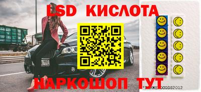 шишки Будённовск