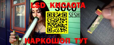 apvp Беслан