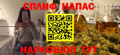 шишки Будённовск