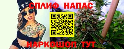 шишки Будённовск