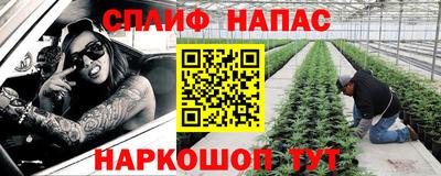 apvp Беслан