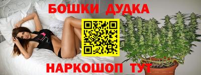 шишки Будённовск