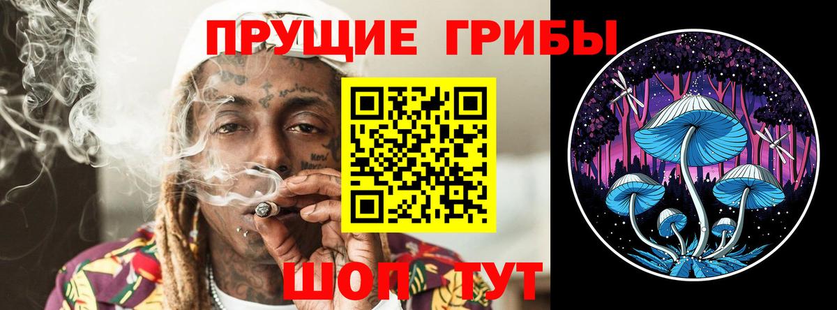 Псилоцибиновые грибы мухоморы  Псилоцибиновые грибы мицелий  где найти   Елабуга 