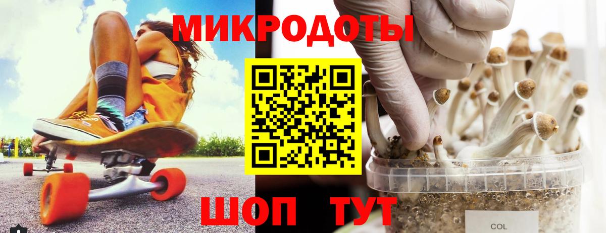 Псилоцибиновые грибы Magic Shrooms  хочу наркоту  Елабуга  Вход с VPN 