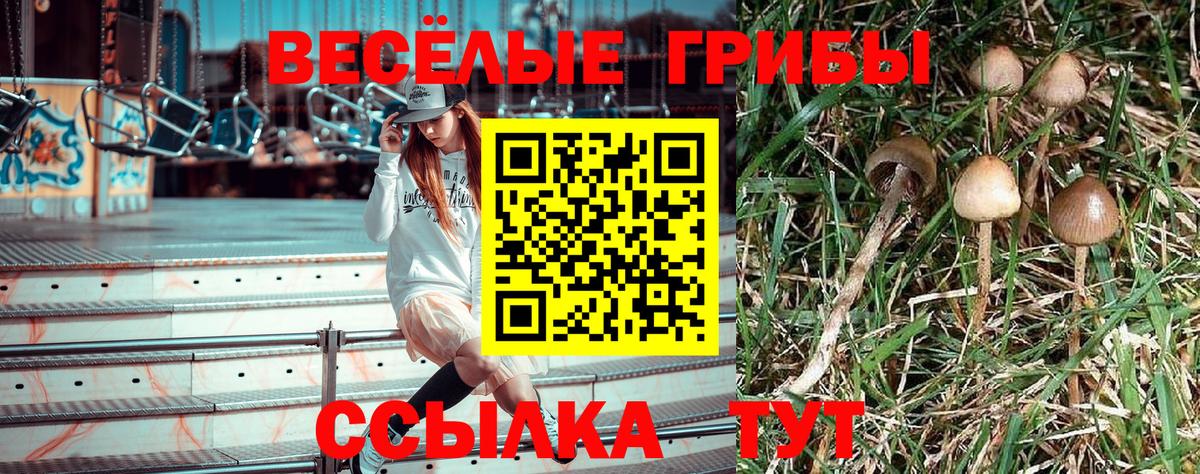 Галлюциногенные грибы ЛСД Елабуга